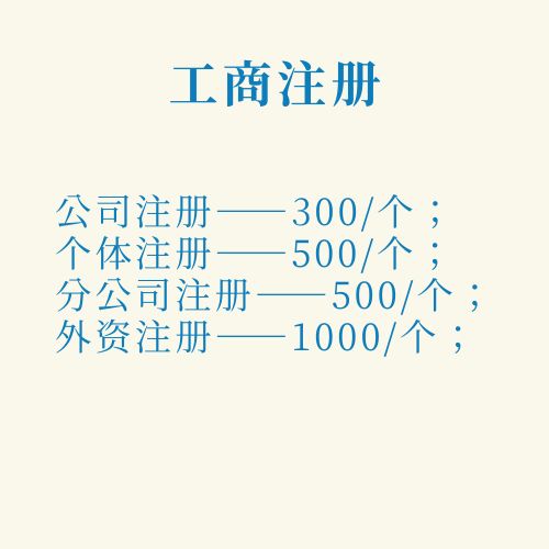 公司注册(咨询服务)